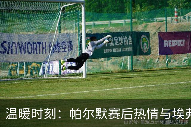 温暖时刻：帕尔默赛后热情与埃弗顿球童合影